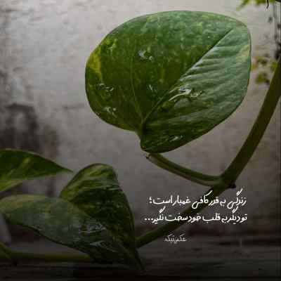 دانلود آهنگ  ارمان ارمان دلبر مه با صدای زن