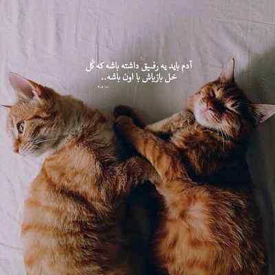 دانلود آهنگ  زلفای تو لوله لوله