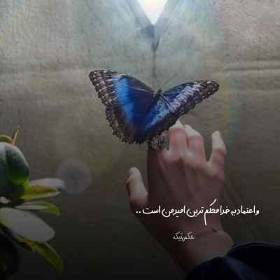 دانلود آهنگ  کوچه لره سو سپمیشم با صدای زن