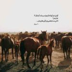 دانلود آهنگ بسه برگرد من واسه تو عمرمو جنگیدم