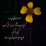 دانلود آهنگ حامیم قلب منی