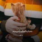 دانلود آهنگ حالم از وقتی تو رفتی هی بهتر شد دانلود آهنگ حالم از وقتی تو رفتی هی بهتر شد