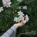 دانلود آهنگ حتی رفیق فابمانم رفیقی داره
