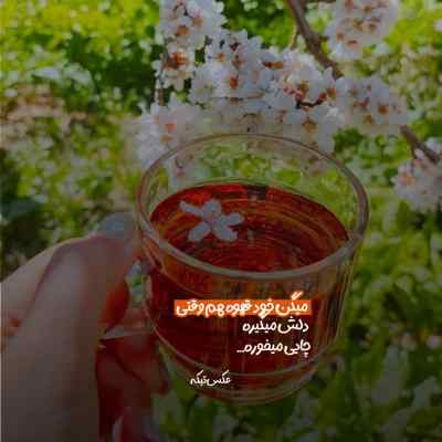 دانلود آهنگ  نصف شب تتلو پیشرو شاهین