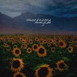 دانلود آهنگ گیرم که به هر حال مرا برده ای از یاد