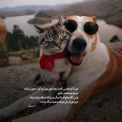 دانلود آهنگ  ای لای نه مامی ژیانم من وینه ی با صدای زن