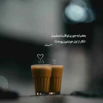 دانلود آهنگ  بیمه توسعه خارو دل بی قرار