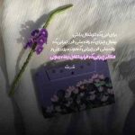 دانلود آهنگ ابی بیا کنارم سر به ناز بی تو