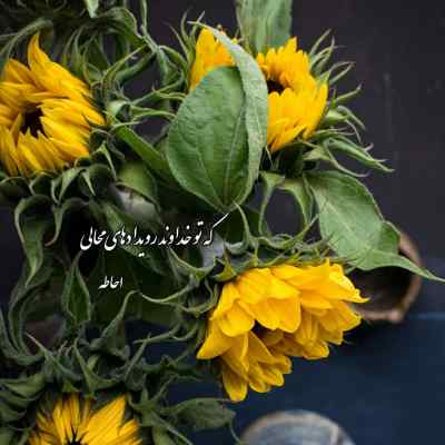 دانلود آهنگ  ای شکسته خاطر من روزگارت شادمان باد آرتوش