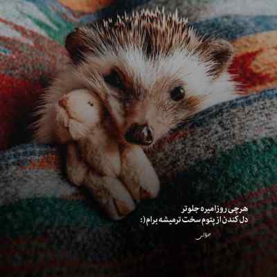 دانلود آهنگ  Journey از Mark Eliyahu ترند اینستا