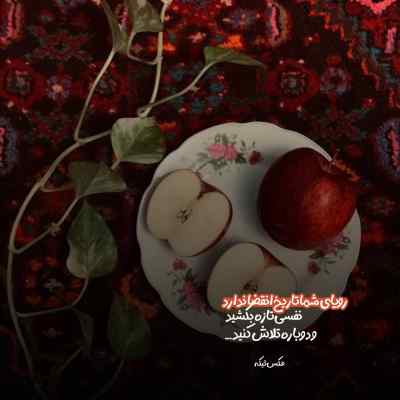 دانلود آهنگ  من مجنونتم تو اون لیلیه باش هوش مصنوعی