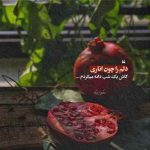 دانلود آهنگ میثم ابراهیمی بارونی که میباره از چشمامه