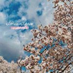 دانلود آهنگ معین کنارم هستی و اما دلم تنگ میشه هر لحظه