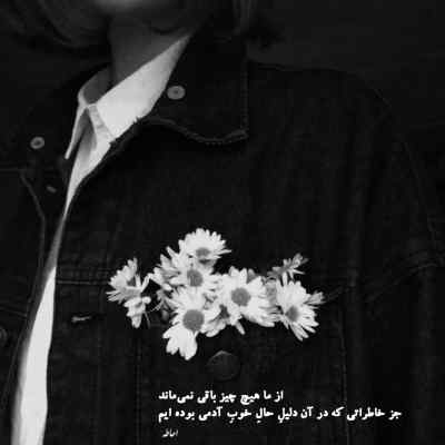 دانلود آهنگ  تو مث من دیوونه ای دیوونه ای یه دونه ای سامان جلیلی