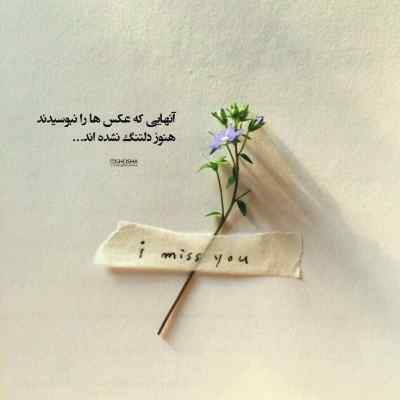 دانلود آهنگ  ز جفای چرخ افسونگر بگرفتش شاهینی در بر داوود مقامی