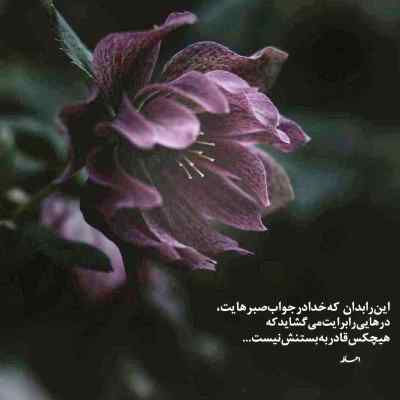 دانلود آهنگ  اگه صد بار دل عاشق منو خون بکنی سوسن