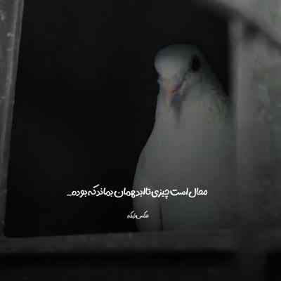 دانلود آهنگ  الان الان الان کلان کلان کلان