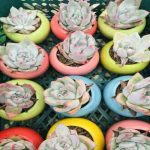 دانلود آهنگ دوباره دل هوای با تو بودن کرده آرش دلفان دانلود آهنگ دوباره دل هوای با تو بودن کرده آرش دلفان