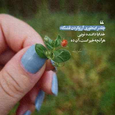 دانلود آهنگ  هنوز این غم ز دل بیرون نرفته