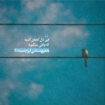 دانلود آهنگ شنیدم که چون قوی زیبا بمیرد با صدای حبیب