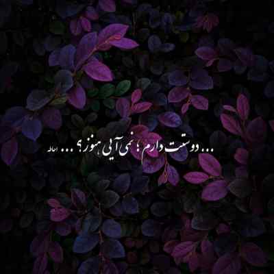 دانلود آهنگ  بعد از تو حسرت به دل ماندم برای دیدنت از زانیار خسروی