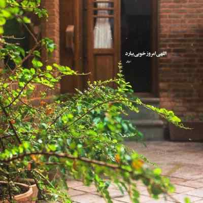 دانلود آهنگ  داشی من مستم و پیک بعد و نده کنسلم کن