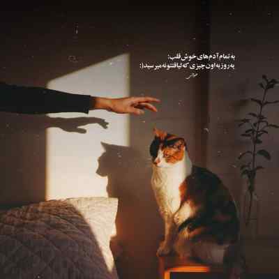 دانلود آهنگ  لونلی از مهیاد Lonely