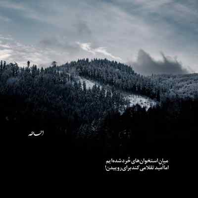 دانلود آهنگ  آهوی دشت زنگاری مرتضی