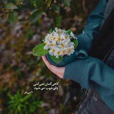 دانلود آهنگ  Ode an den Bass از PaulWetz آلمانی