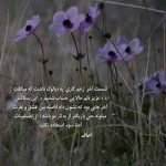 دانلود آهنگ ای لشکر صاحب زمان آماده باش از حاج محمد صادق
