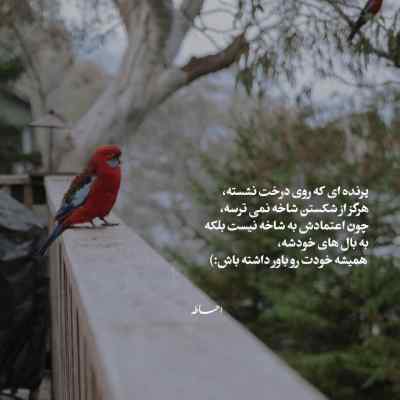 دانلود آهنگ  جلوییم از همه صد هیچ شایان جهانشاهی