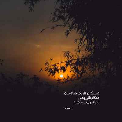 دانلود آهنگ  تویی عشقم تویی عمرم نازنین ای گل من محسن دولت