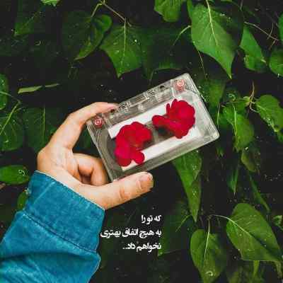 دانلود آهنگ  زار از چرسی