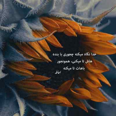 دانلود آهنگ  عمار داره این خاک حامد زمانی