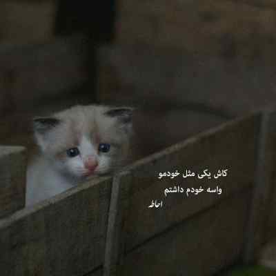 دانلود آهنگ  ای بلا بالا بلا قربون اون نگاهت معین