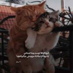 دانلود آهنگ ای دلبر من الهی صد ساله شوی