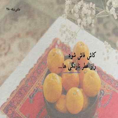 دانلود آهنگ  گل ناز داروم مه شو تاروم