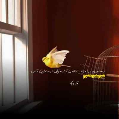 دانلود آهنگ  میپرستم تورا میپرستم من هنوز از هوای تو مستم