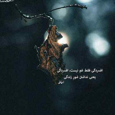 دانلود آهنگ  اون درخت سربلند پرغرور