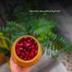 دانلود آهنگ صبرم زیاده اما عمری نمونده باقی