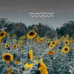 دانلود آهنگ بابا کرم