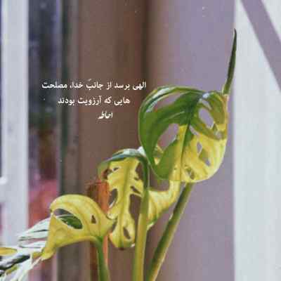 دانلود آهنگ  به خودت بده استراحت لااقل زندگی بکن مثل آدم