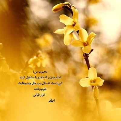 دانلود آهنگ  ای تو هوای هر نفس عشق تو میورزم و بس اینستا