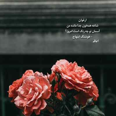 دانلود آهنگ  غم نم نم بارون و دریا واسه قایق خسته ی تنها
