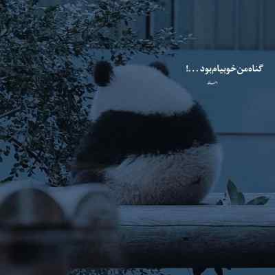 دانلود آهنگ  گذشته فریبم داد حال عذابم میدهد