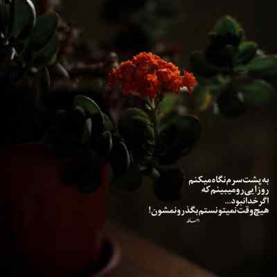 دانلود آهنگ  انقدر بی تو در این شهر خرابم که نگو اینستا