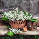 دانلود آهنگ محسن چاوشی دوست داشتم