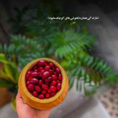 دانلود آهنگ  دست خودم نیست تو رو میبینم ببین دل تو دلم نیست