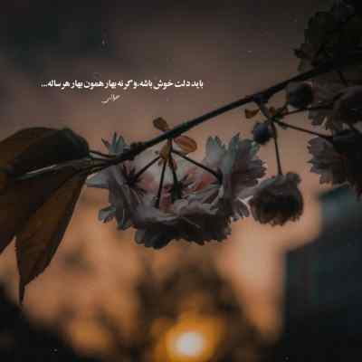 دانلود آهنگ  یادت نره دختر خونه مهلت موندنت مهلتمونه اینستا