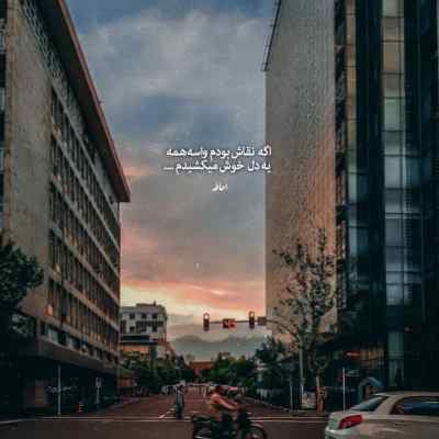 دانلود آهنگ  یکی یدونه دل من صدای گربه عو عه عی اینستا